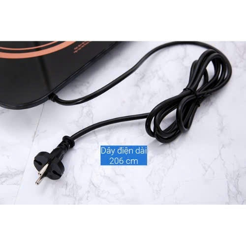 Bếp từ Midea MI-T2121DB