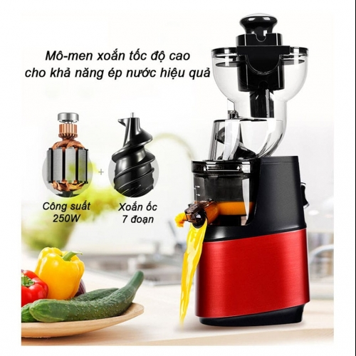 Máy ép chậm Savtm Je35