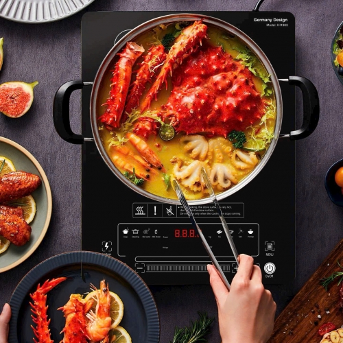 Bếp từ Newstar IH1903