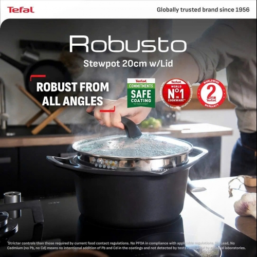 Nồi đúc cao cấp Tefal Robusto có miệng rót E2494644 (24cm)