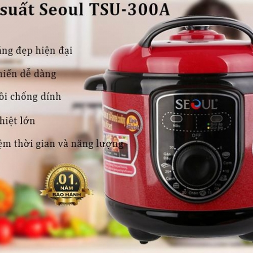 Nồi áp suất điện 3l Seoul TSU300