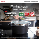 Nồi đúc cao cấp Tefal Robusto có miệng rót E2494644 (24cm)